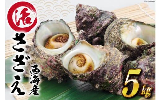 y\o Iz TUG v 5kg O[JFC ΐ쌧 u꒬ AM4235]  TUG   CN lĂ ڏĂ o[xL[ΐ쌧u꒬32000ECYL