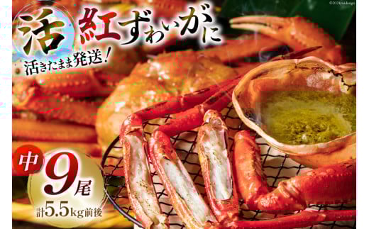 y\o  3ȍ~z  gYCKj 9(TCY) v 5.5kg O  [JFC ΐ쌧 u꒬ AM4219] I Jj  킢 YCKjΐ쌧u꒬42000ECYJj