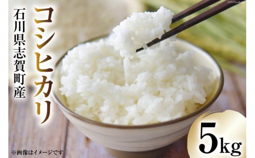 yߘa7NYz RVqJ 5kg [g~̗ ΐ쌧 u꒬ CB4034]  Ђ   R    ͂ Sn 5Lΐ쌧u꒬20000āEp