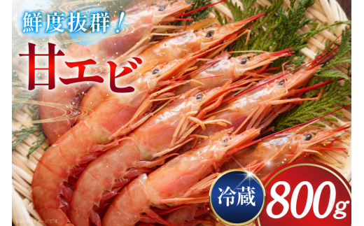 ÃGr ① 800g [쐅Y ΐ쌧 u꒬ CM6006] Â ܂ Gr CV ÊCVΐ쌧u꒬36000ECYGr
