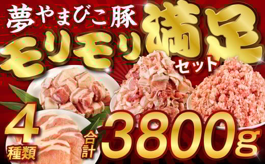 豚肉 小分け 合計3.8kg「内閣総理大臣賞 夢やまびこ豚」モリモリ満足セット ( 豚小間切れ 2kg 豚ミンチ 1kg 豚ロースカツ 500g 豚バラ角切 300g ) / 豚肉 小分け 真空パック 大容量 豚バラ 豚 肉 こ