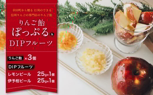 幸田町から贈る 行列のできる信州りんごの専門店のりんご飴『ぽっぷる』 ( 3個 ) & DIPフルーツ ( 2種類×各1個 ) セット りんご飴 味変愛知県幸田町13000果物・フルーツりんご・梨