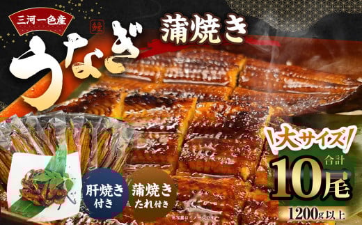 三河一色産 うなぎ蒲焼き 中10尾 タレ付き セット 簡単調理 冷凍愛知県幸田町73000魚介・海産物うなぎ