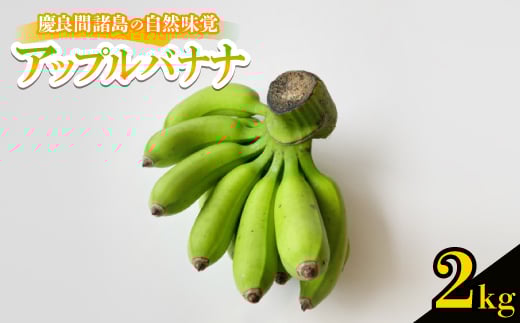 2025N7珇cǊԏ̎Ro Abvoii 2kgy1625154zꌧԖ13000ʕEt[c̑ ʕEt[c