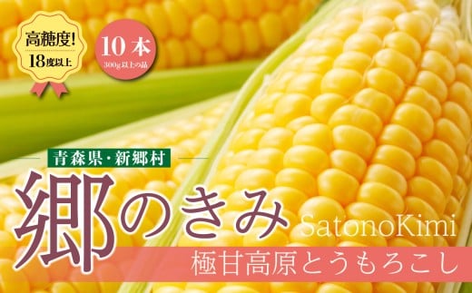 <先行予約>2026年8月上旬〜出荷 【三つ星フレンチの食材に選ばれたとうもろこし】「郷のきみ」10本【期間限定・数量限定】青森県新郷村18000野菜・きのことうもろこし