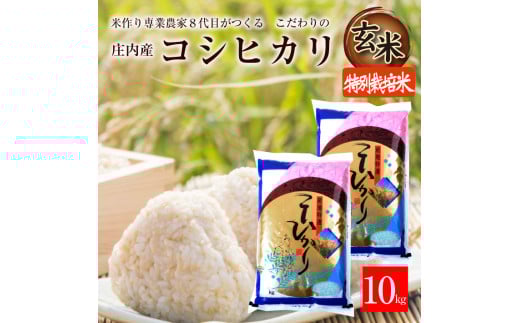 ߘa7NYyāzʍ͔|ăRVqJ@10kg(5kg×2)u_ƒv KA SD0182R`cs26000āEpāEGāEāE