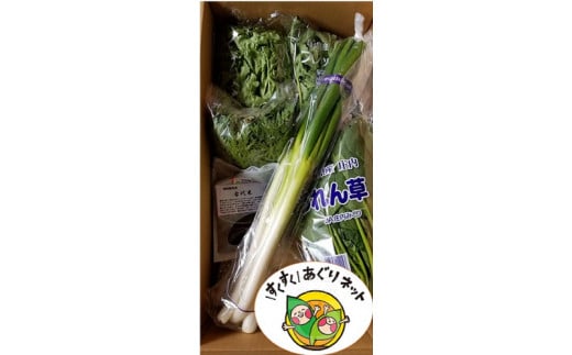 酒田市農業女子会が贈るおまかせお野菜セット SA0484山形県酒田市10000野菜・きのこその他 野菜