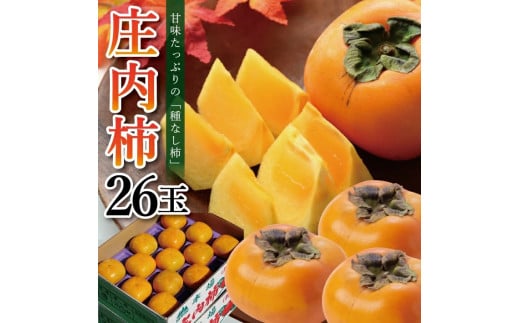 【先行予約】柿 種なし 約 5kg 26玉 庄内柿 贈答用仕様 果物 フルーツ 10月発送 11月発送 かき カキ 果物 果実 フルーツ フレッシュ 期間限定 ギフト 日本海 刈屋産 山形産 山形県産 木川果実店