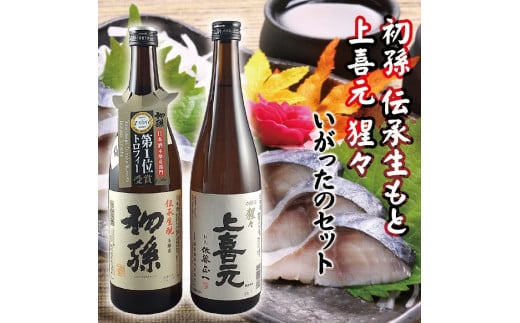 ̃Zbg@v2{(e720ml×1{) SA2606R`cs10000EAR[{