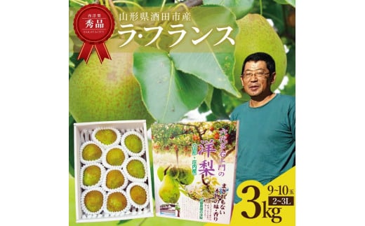 m EtX Gi 3kg 9`10 2L`3L 11{`12{͂ t[c  fU[g XC[c ʕ i ϔ _ R` c Z㑽EG SA2718R`cs1200