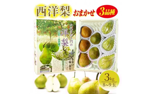 西洋梨 おまかせ3品種 約3kg 8〜9玉 12月上旬〜12月中旬頃お届け フルーツ くだもの デザート スイーツ 果物 贈答品 化粧箱入 詰め合わせ セット 佐藤農園 山形 酒田 六代多右エ門 SA2720山形県