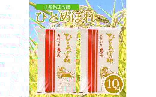 ߘa7NYyāzЂƂ߂ڂ@10kg(5kg×2) AK SD0211R`cs28000āEp