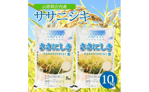 ߘa7NYyāzTTjVL@10kg(5kg×2) AK SD0212R`cs29000āEp