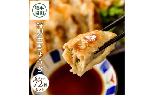 平田牧場 特製生ぎょうざ 72個セット(12個入×6パック) SA0779山形県酒田市10000鍋セット・総菜・加工食品総菜