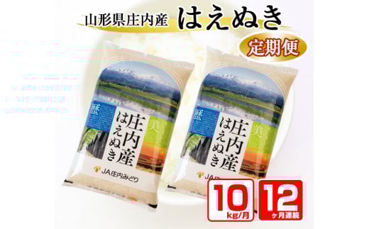 【12回定期便】はえぬき 10kg×12回(計120kg) JM SU0004山形県酒田市190000米・パン白米