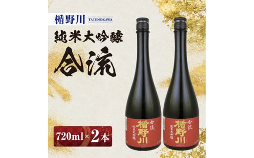 楯野川 純米大吟醸 合流 720ml×2本セット【山形県内限定流通品】 SB0647山形県酒田市19000酒・アルコール日本酒