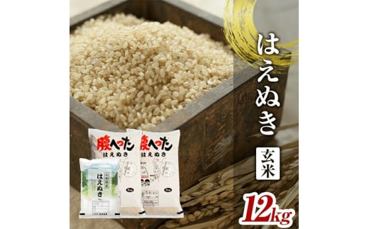 ߘa7NYyāz͂ʂ@12kg(5kg×2+2kg×1) YA SE0455R`cs30000āEpāEGāEāE
