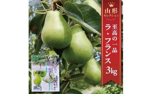 西洋梨 ラ・フランス 特選 約3kg 9〜10玉 2L〜3L 山形セレクション 11月中旬〜12月上旬頃お届け フルーツ くだもの デザート スイーツ 果物 贈答品 化粧箱入 佐藤農園 山形 酒田 六代多右エ門 SA2