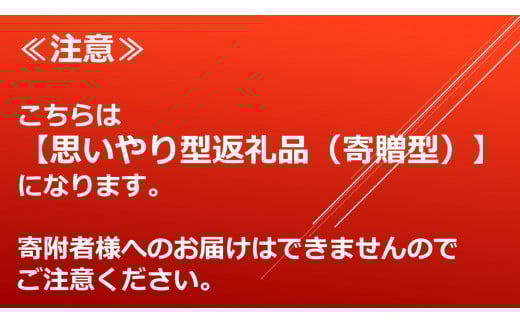 cq@ؓؓɂ10yv^ԗiz KIF0010R`cs17000̑ 