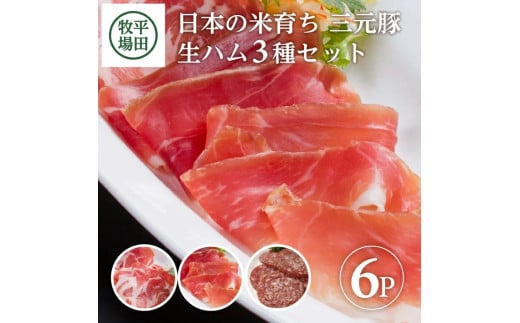 三元豚 生ハム 3種セット 6パック 計260g 豚肉 生ハムコッパ ジャーマンサラミ ブランド豚 銘柄豚 ハム サラミ 豚 肉 おつまみ ワイン モモ肉 肩ロース 小分け 冷蔵 おすすめ ギフト 贈り物 贈