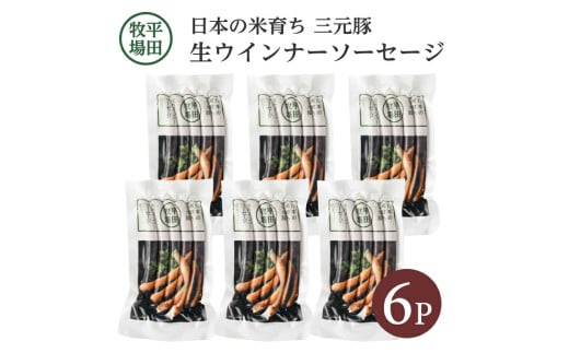 生ウインナー ソーセージ 6パック 840g 日本の米育ち 三元豚 ブランド豚 豚肉 加工肉 ウインナー 惣菜 おかず お弁当 朝食 ジューシー  冷凍 贈り物 贈答 ギフト 平牧 平田牧場 山形 酒田 SA1339