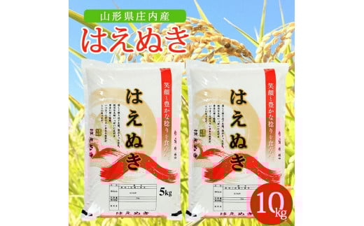 令和7年産【精米】はえぬき 10kg(5kg×2袋) AK SD0210山形県酒田市28000米・パン白米