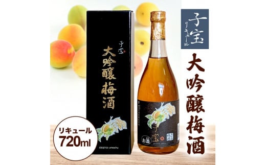 酒田の酒屋厳選 子宝リキュール 大吟醸梅酒 720ml×1本 SA1903山形県酒田市13000酒・アルコールウイスキー・洋酒・リキュール