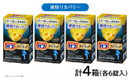 ԉou fBLA uJo[ 6×4 SA2376R`cs11000G݁EpioXEʗpi