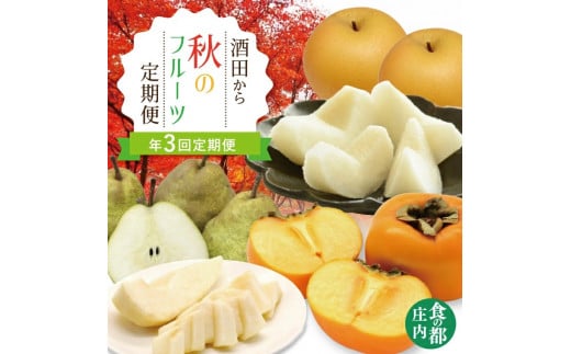 y3ցz cH̃t[c 2026 8{`10{  10{`11{ ` 11{`12{ EtX ws  Еz ʕ  t[c