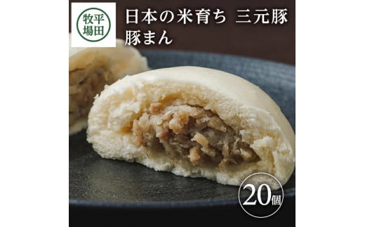 三元豚 豚まん 20個 計2kg ブランド豚 銘柄豚 豚肉  三元豚 肉まん にくまん お米 米 豚 まんじゅう 中華まん おやつ 冷凍 簡単調理 ギフト 贈り物 贈答 ブランド おすすめ 庄内 平田牧場 山形