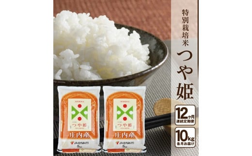 y12ցzʍ͔| P@10kg×12(v120kg) JM SY0017R`cs220000āEp