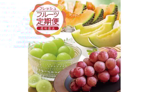 【3回定期便】農家直送 フレッシュフルーツ定期便2026 (庄内メロン、青ぶどう、赤ぶどう) SE0465山形県酒田市34000果物・フルーツメロン・スイカ