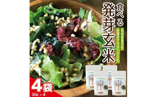 yȔ_Ƃ̑傫Ȗz yɌĂI Hׂ锭茺 30g×4 SZ0211R`cs5000āEpāEGāEāE