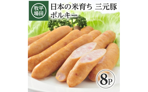 ycqz{̕Ĉ炿 O |L[@180g×8pbN SA2003R`cs10000HinE\[Z[Wj