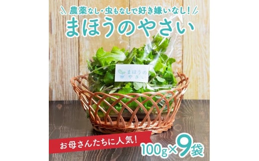 「まほうのやさい すこやかセット」 ベビーリーフ 計900g(100g×9袋) SA2136山形県酒田市10000野菜・きのこその他 野菜