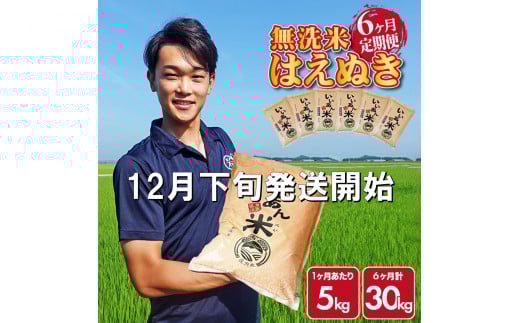 12{Jn^y6ցzߘa7NY Ă͂ʂ@5kg×6(v30kg)@_ƒwāxAG SM0031R`cs95000āEp