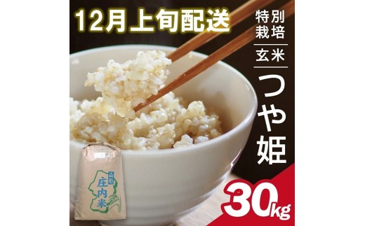 12月上旬配送/令和7年産【玄米】特別栽培米 つや姫 30kg×1袋〈太ももの会〉 FU SG0076山形県酒田市58000米・パン玄米・雑穀米・もち米・餅