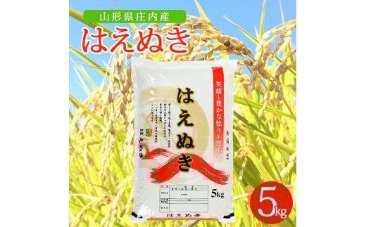 令和7年産【精米】はえぬき 5kg×1袋 AK SA2771山形県酒田市14000米・パン白米