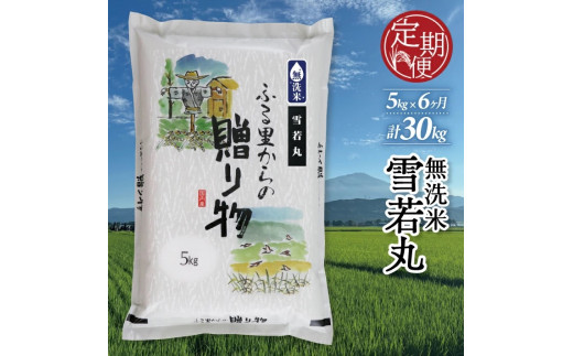 無洗米 雪若丸 定期便 5kg×6回 計30kg 令和7年産 米 お米 こめ 新米 大粒 コシヒカリ こしひかり に負けない 美食 歴史 伝統 日本食 和食 東北 小松農産 山形 酒田 SJ0043山形県酒田市85000米・パン