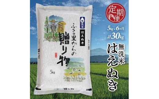 【6回定期便】令和7年産 無洗米 はえぬき 5kg×6回(計30kg) KN SJ0042山形県酒田市80000米・パン無洗米