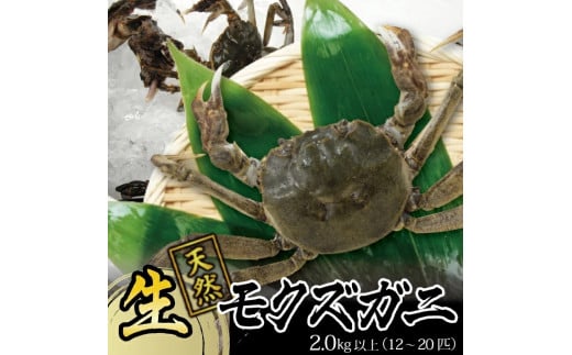 生・天然モクズガニ 2.0kg以上 12〜20匹 オス・メス混合 山形県庄内産 10月上旬〜12月下旬頃お届け 冷蔵便 ※着日指定・離島発送不可(沖縄県を含む) カニ 蟹 かに 川ガニ 新鮮 鮮魚 まるごと