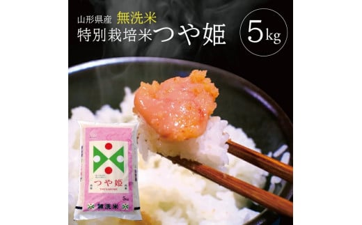 令和7年産【無洗米】特別栽培米 つや姫 5kg×1袋 TO SB0776山形県酒田市18000米・パン無洗米