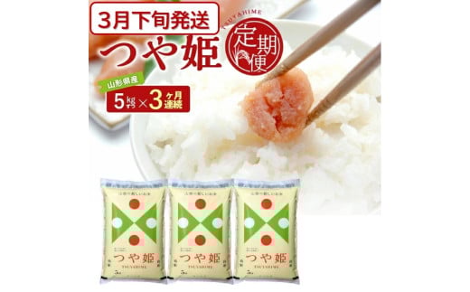 3{Jn^y3ցz ʍ͔| P 5kg×3A v15kg ߘa7NY R`Y     ͂  cs  R` k _ JAł SG0092R`cs50000