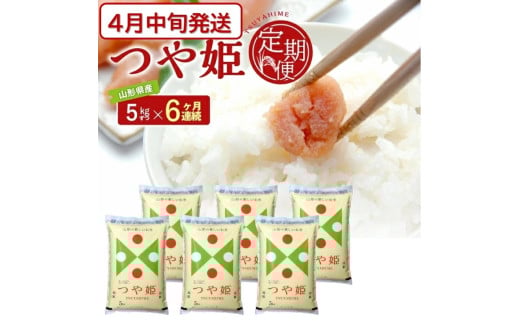 4月中旬発送開始/【6回定期便】 特別栽培米 つや姫 5kg×6ヶ月連続 計30kg 令和7年産 山形県産 精米 白米 庄内米 米 ごはん ご飯 酒田市 庄内 山形県 東北 農協 JAそでうら SM0043山形県酒田市96000