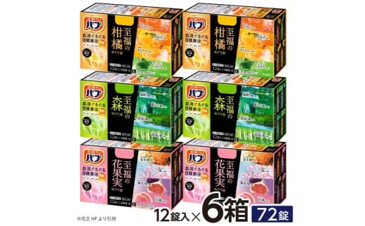 ԉou ̂߂藁@v6(3×e2) SA2703R`cs12000G݁EpioXEʗpi