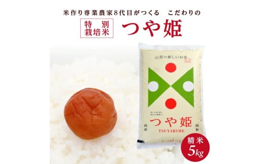令和7年産【精米】特別栽培米つや姫 5kg×1袋「農家直送」 KA SB0750山形県酒田市15000米・パン白米