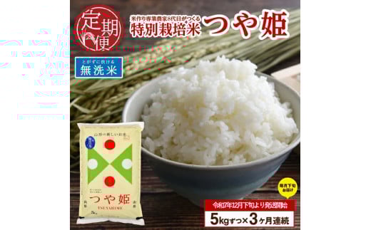 12{Jn^y3ցzߘa7NY  ʍ͔| P@5kg×3(v15s)u_ƒv KA SE0390R`cs39000āEp