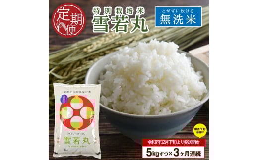 12月下旬発送開始/【3回定期便】令和7年産 無洗米 特別栽培米 雪若丸 5kg×3回(計15s)「農家直送」 KA SF0273山形県酒田市42000米・パン無洗米
