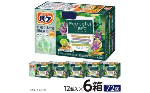 ԉou s[Xtn[u@12×6 SA2634R`cs12000G݁EpioXEʗpi