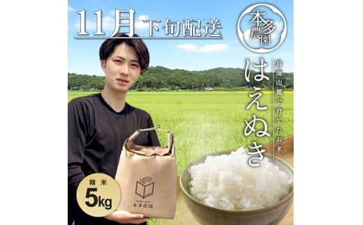 【11月下旬配送】はえぬき 5kg 白米 精米 米 お米 こめ コメ 新米 ブランド米 ご飯 おにぎり 弁当 農家直送 おいしい 先行受付 先行予約 令和7年産 山形産 山形県産 庄内産 本多農園 山形 酒田